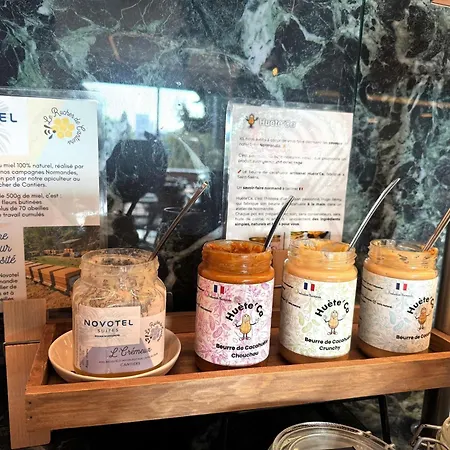 Novotel Normandie Отель Руан