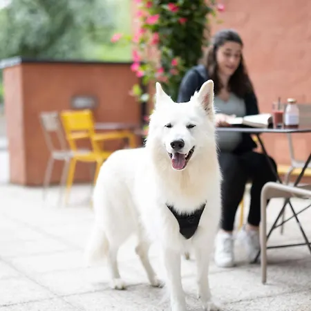 Novotel Normandie 4*